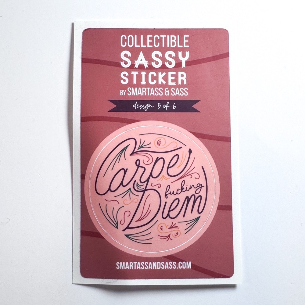 3/$15 Carpe F-ing Diem Vinyl Sticker